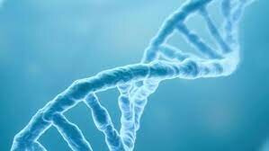 China hace publica la secuencia genetica del virus