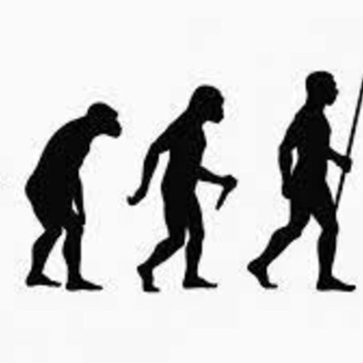 Timeline: Teorías de la evolución