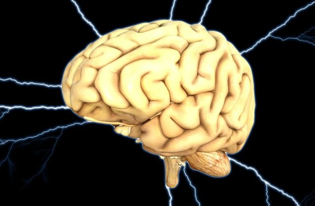 Correlación entre fisiología y procesos psíquicos.