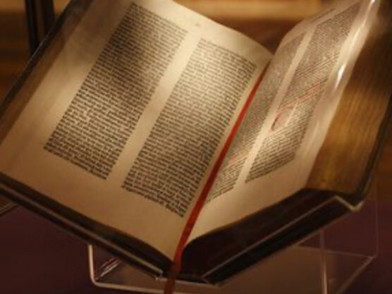 Divulgación de la biblia