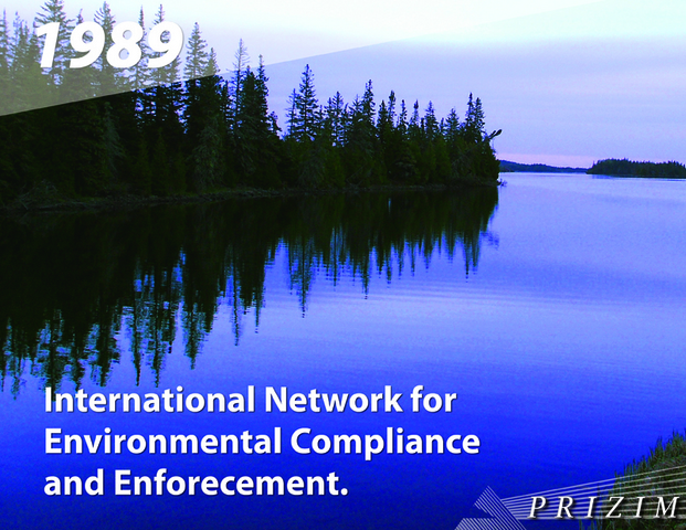 Professional Organization