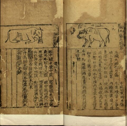 LIBROS CHINOS ANTIGUOS