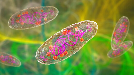 El verdadero causante