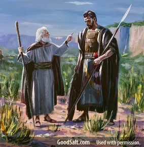 Nathan Rebukes David