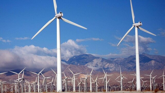 World's First Windmill Farm