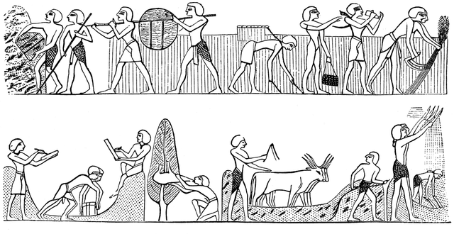 Rivoluzione neolitica