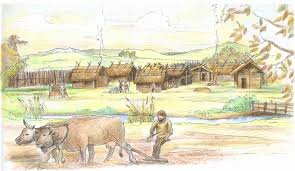 Civiltà dei terramari/