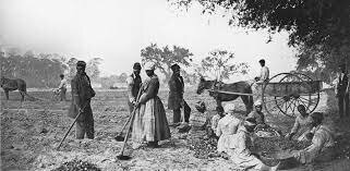 1808: Prohibición de trata de negros en Estados Unidos