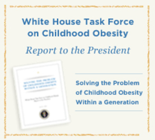 Action Plan Revealed