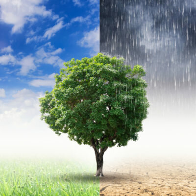 Timeline: Cambio climático