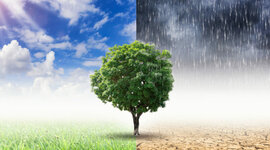 Timeline: Cambio climático