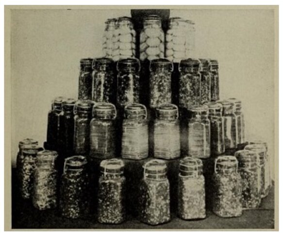 Peak in home canning in the US