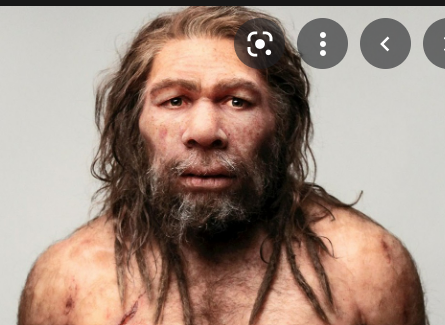 Homo Nearthalensis