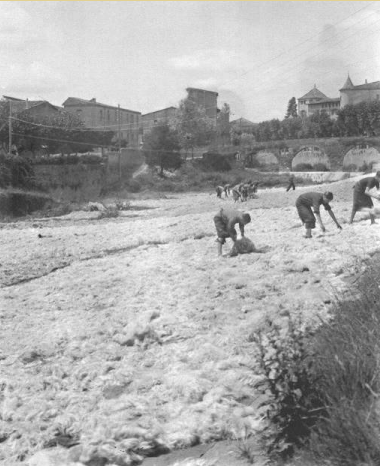 Ordenacions municipals.