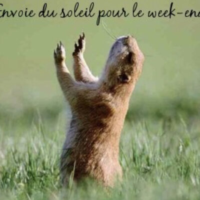 Timeline: Mon fin de semaine