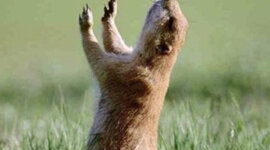 Timeline: Mon fin de semaine