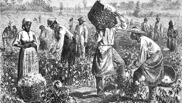 Slave Songs Were Used During Work Days