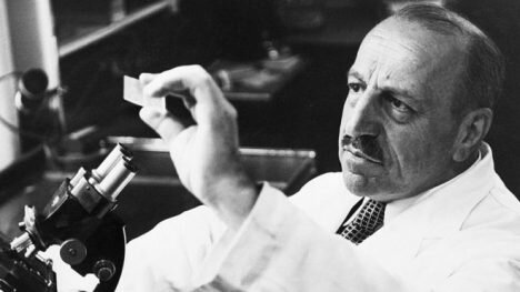 Primer Cromosoma artificial