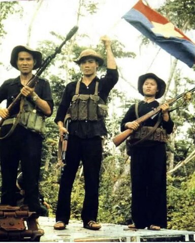 Viet Cong Emerge