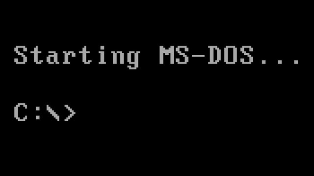 MS DOS