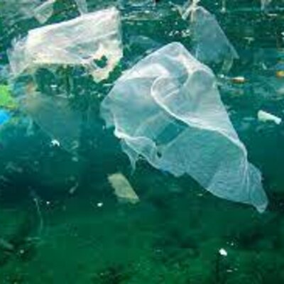Timeline: Legal Framework To Tackle Plastic Pollution