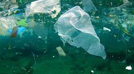 Timeline: Legal Framework To Tackle Plastic Pollution