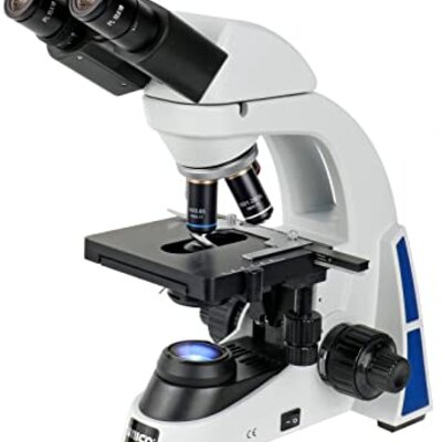 Timeline: El microscopio