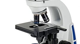 Timeline: El microscopio