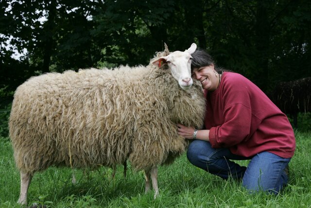 Clonación de la oveja Dolly