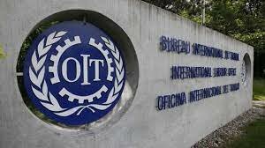 Organización Internacional del Trabajo - ILO