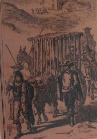DON QUIJOTE EN UNA JAULA