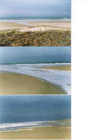 Menace sur les spots de surf de Tenerife (Canaries, Espagne)