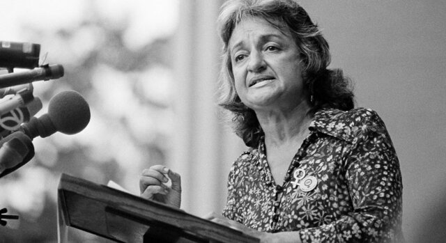 Betty Friedan Survey