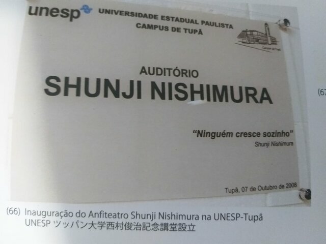 Profissional: Shunji Anfiteatro