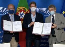 Legge europea sul clima: il Parlamento adotta la propria posizione