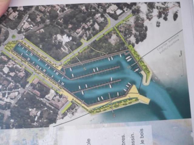 Plage boisée du Betey à Andernos (Gironde)