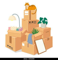 Moved in an Apartment with my Best Friend