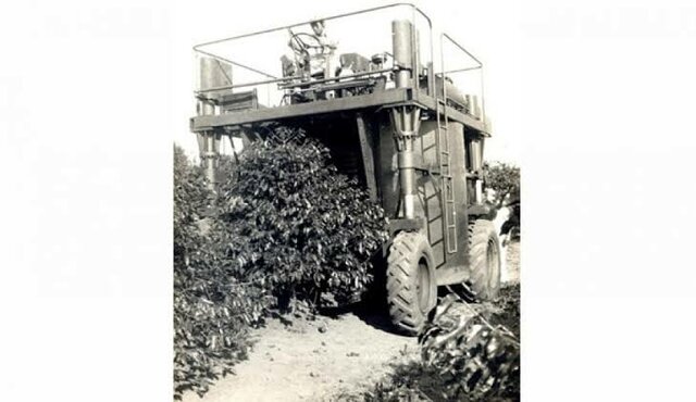 K-3 a Primeira Colhedora de Café do mundo.