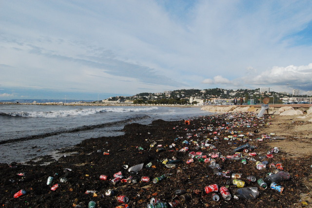 Epluchures Beach (Marseille)