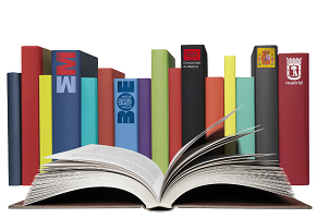 Regula la memoria del análisis de impacto normativo