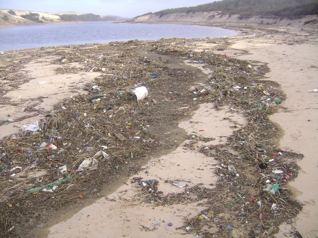 Courant d'Huchet (Landes)