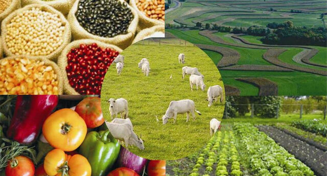 Dificultades en la industria