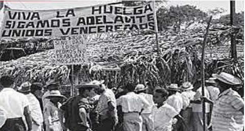 Huelga y Revolución