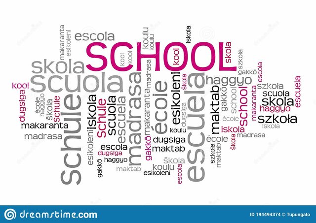 La cantidad de escuelas primarias de la capital había advertido a 200