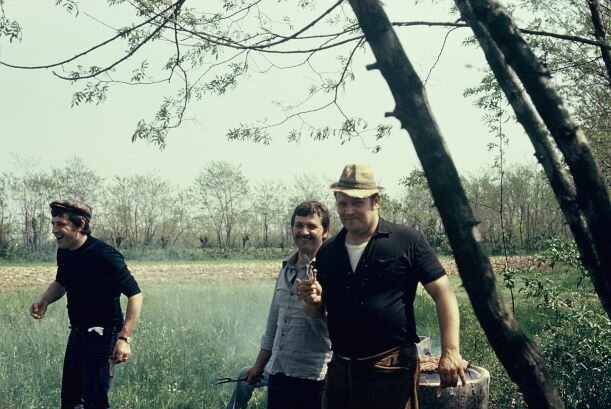 Grigliata vicino allo zero