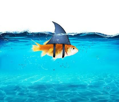 Tsar Nicholas takes full control of military operations