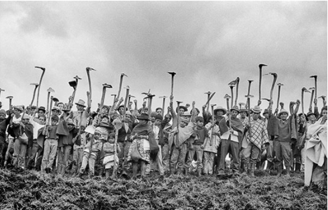 Recuperación de tierras "Hacienda Cobaló" Cauca