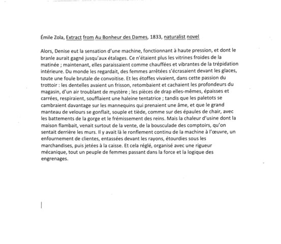 Émile Zola (1840-1902), Extract from Au Bonheur des Dames, 1833, naturalist novel