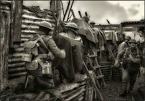 The First World War Begins