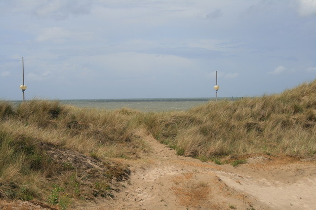 Sauvons la dune (Malo les Bains, Nord)
